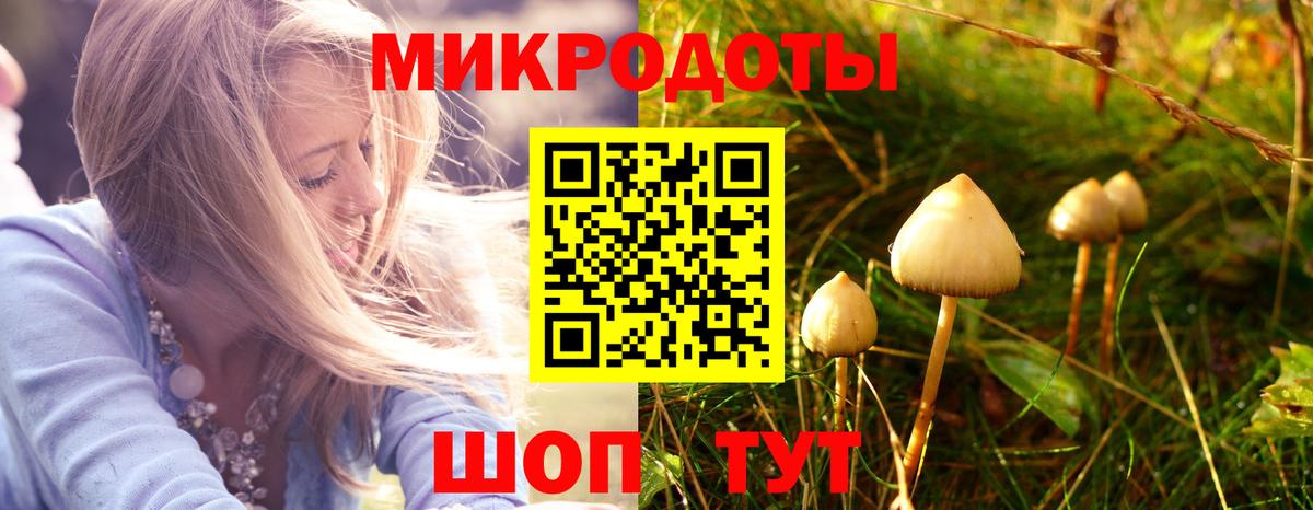 Галлюциногенные грибы мухоморы Иваново