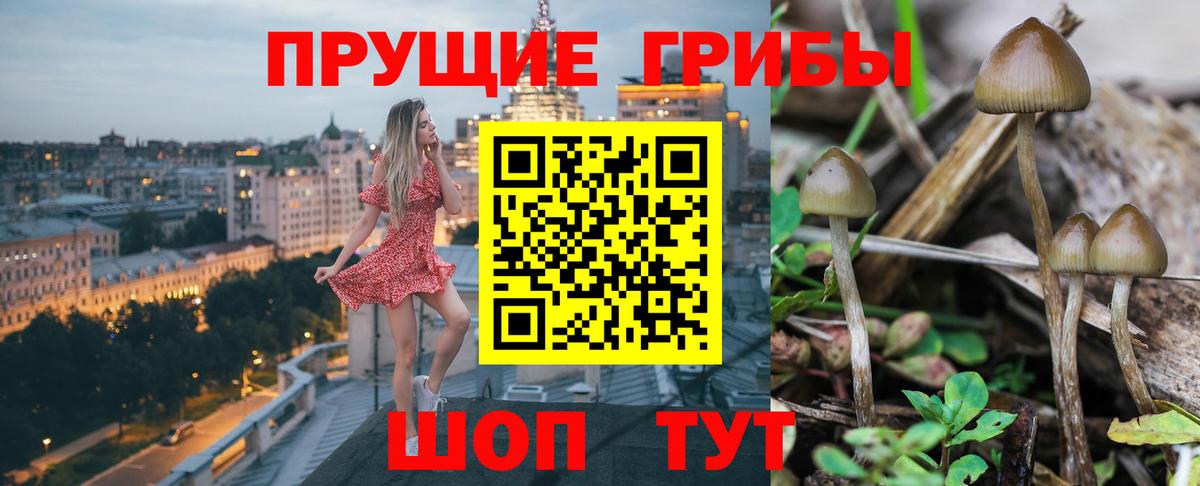 Галлюциногенные грибы ЛСД  Вход с VPN  Иваново 